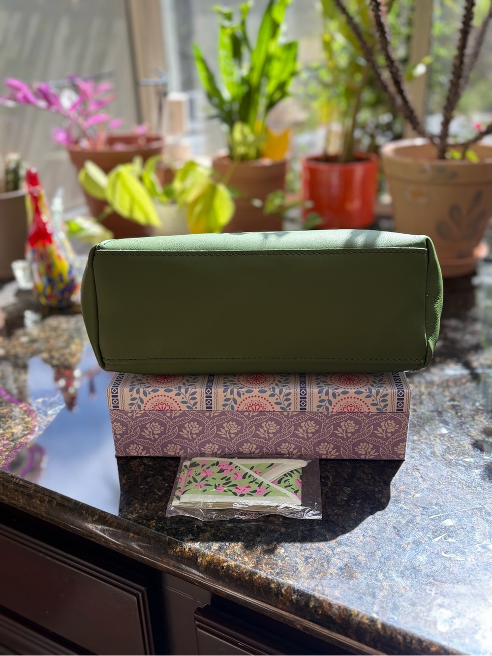 Portland Leather Cactus Large Naomi 🦄 - Picture 6 of 11